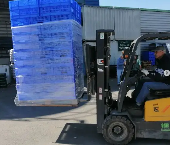 CAJAS POLLERAS 2 CAJAS POLLERAS