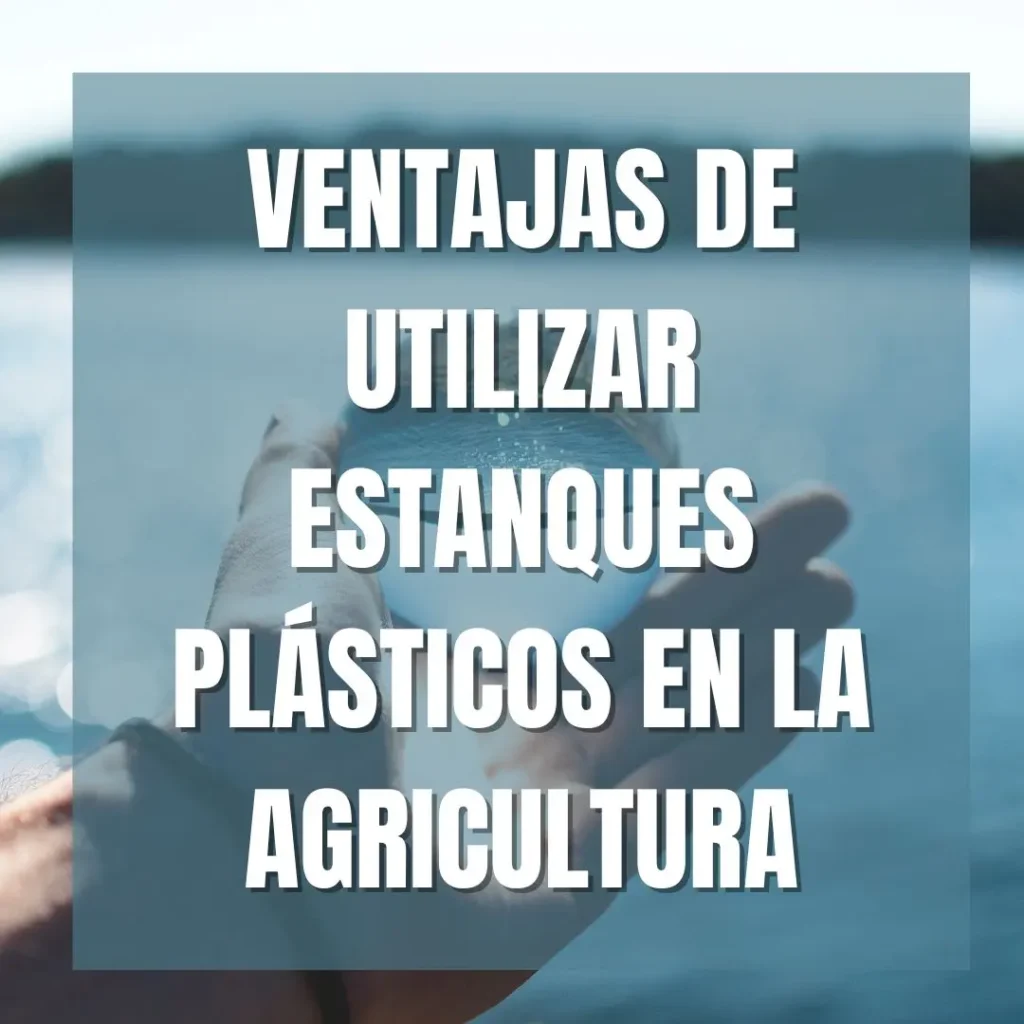 Ventajas de utilizar estanques plásticos en la agricultura en Chile