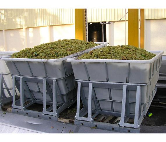 Bins para Cosecha 2.800 Ltrs 2 Bins para Cosecha 2.800 Ltrs - Imagen 2